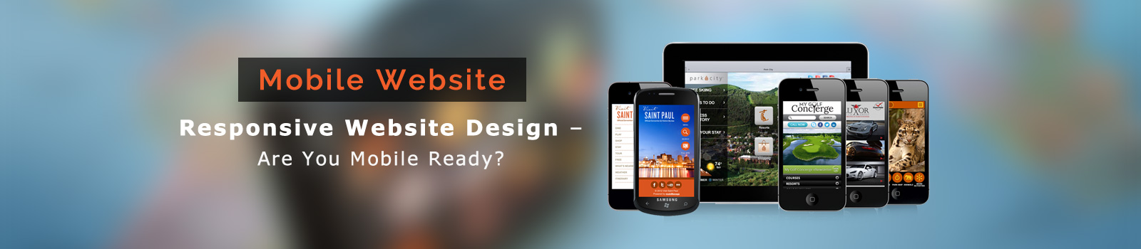 Responsive Mobile Website Design